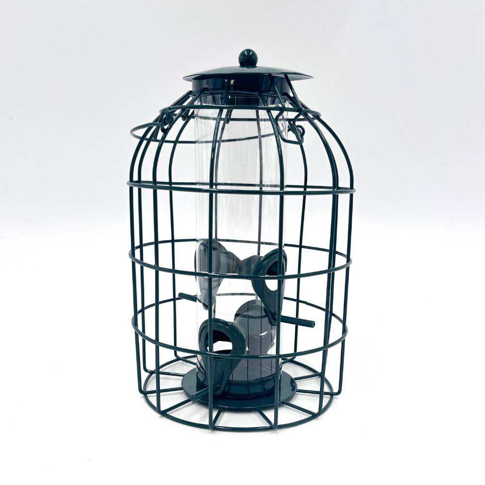 Squirrel Proof Bird Seed Feeder